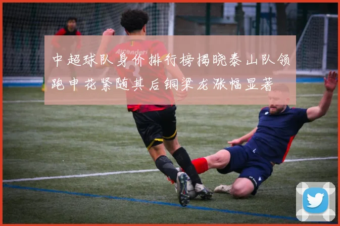 中超球队身价排行榜揭晓泰山队领跑申花紧随其后铜梁龙涨幅显著