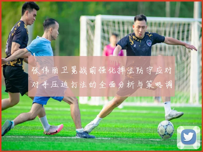 张伟丽卫冕战前强化摔法防守应对对手压迫打法的全面分析与策略调整